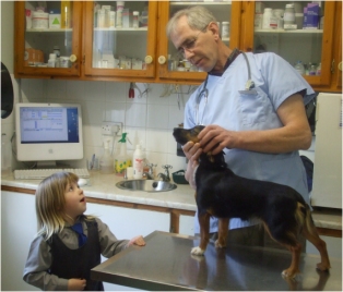 animal vaccinations at the village veterinary hospital